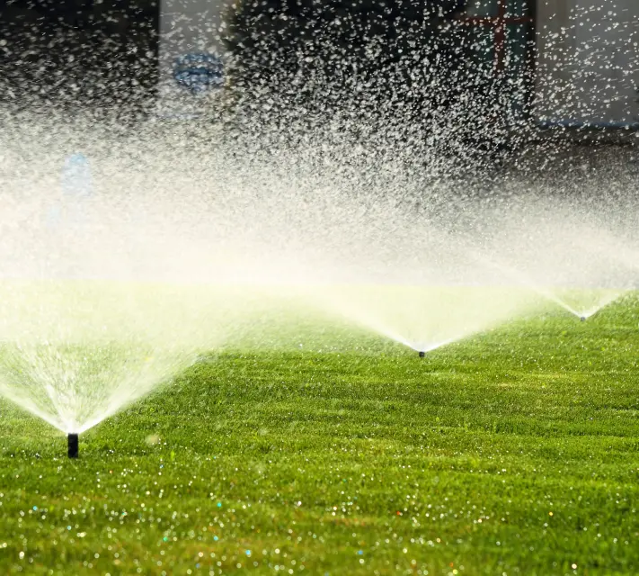 Residential pop up sprinklers in a grassy area